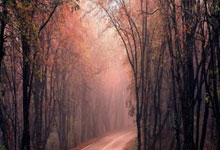 悟空游戏厅怎么样，值得下载吗？