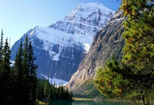 世界杯十大经典战役都有哪些？它们为何能成为足球史上的永恒记忆？